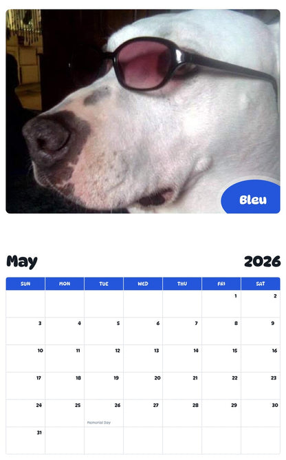2026 - 2027 Bleu - Pawidols Pet Calendar