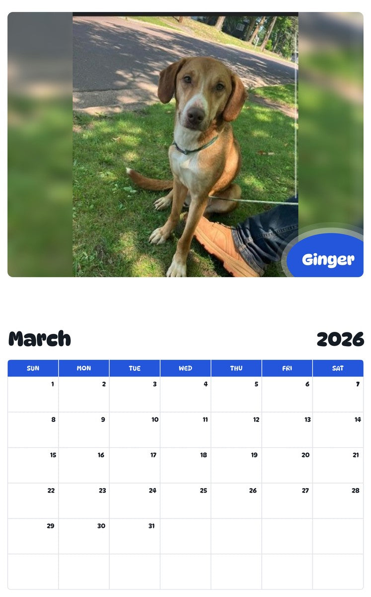 November 2025 - October 2026 Ginger - Pawidols Pet Calendar