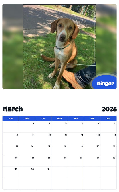 November 2025 - October 2026 Ginger - Pawidols Pet Calendar