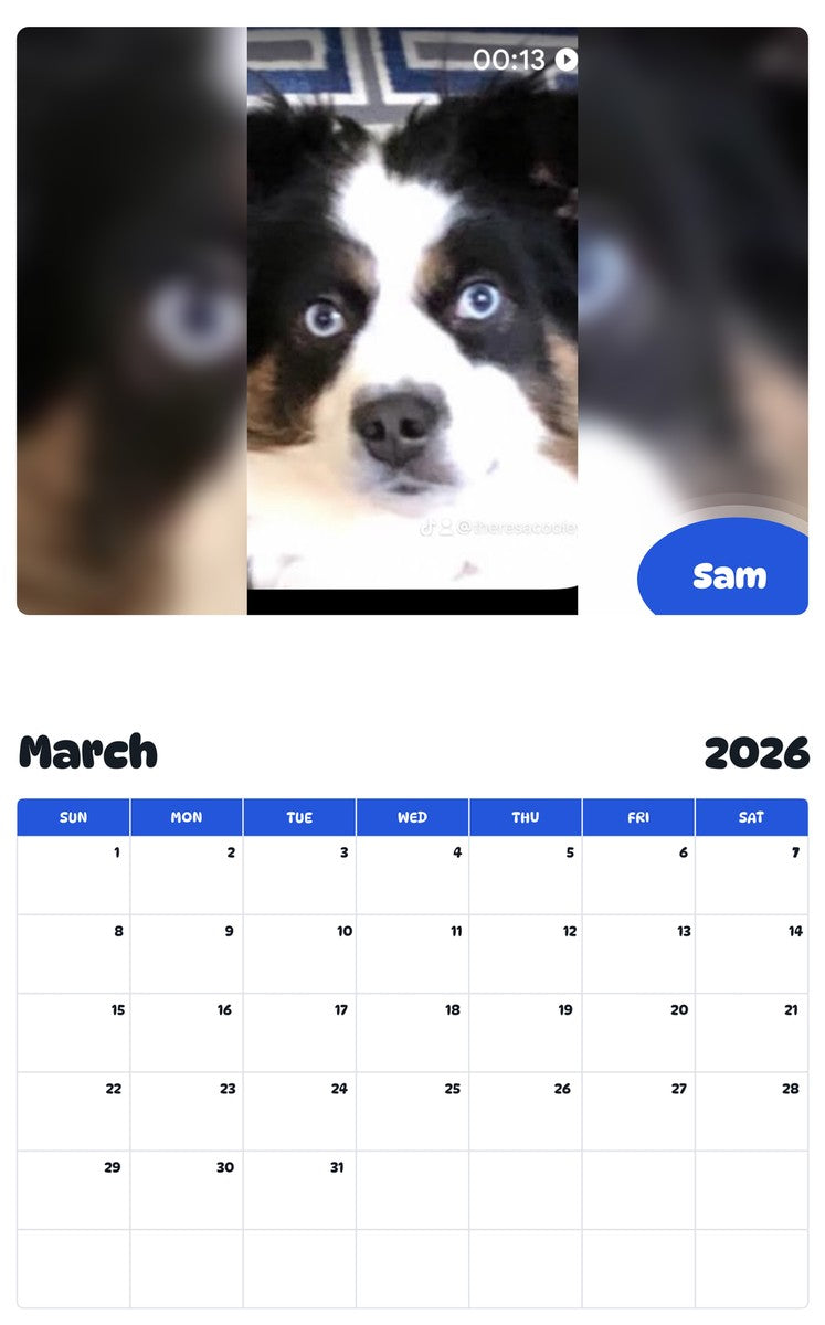 November 2025 - October 2026 Sam - Pawidols Pet Calendar