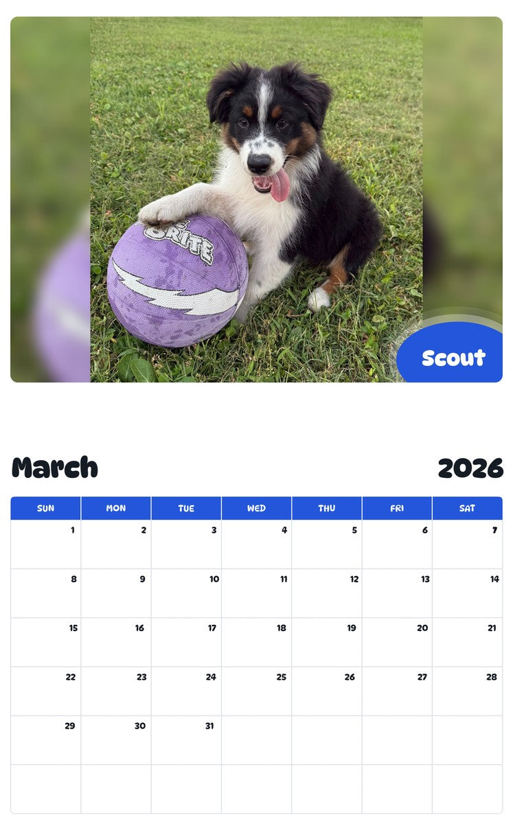 November 2025 - October 2026 Scout - Pawidols Pet Calendar