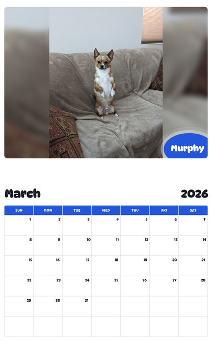 November 2025 - October 2026 Murphy - Pawidols Pet Calendar