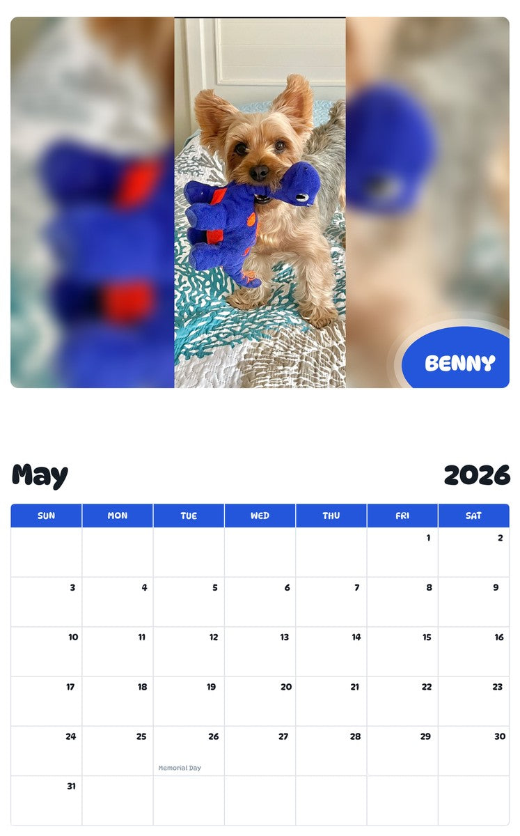 2026 - 2027 BENNY - Pawidols Pet Calendar