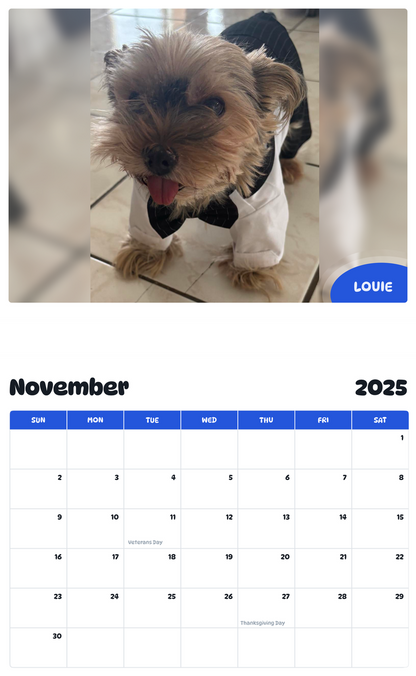July 2025 - June 2026 Louie - Pawidols Pet Calendar