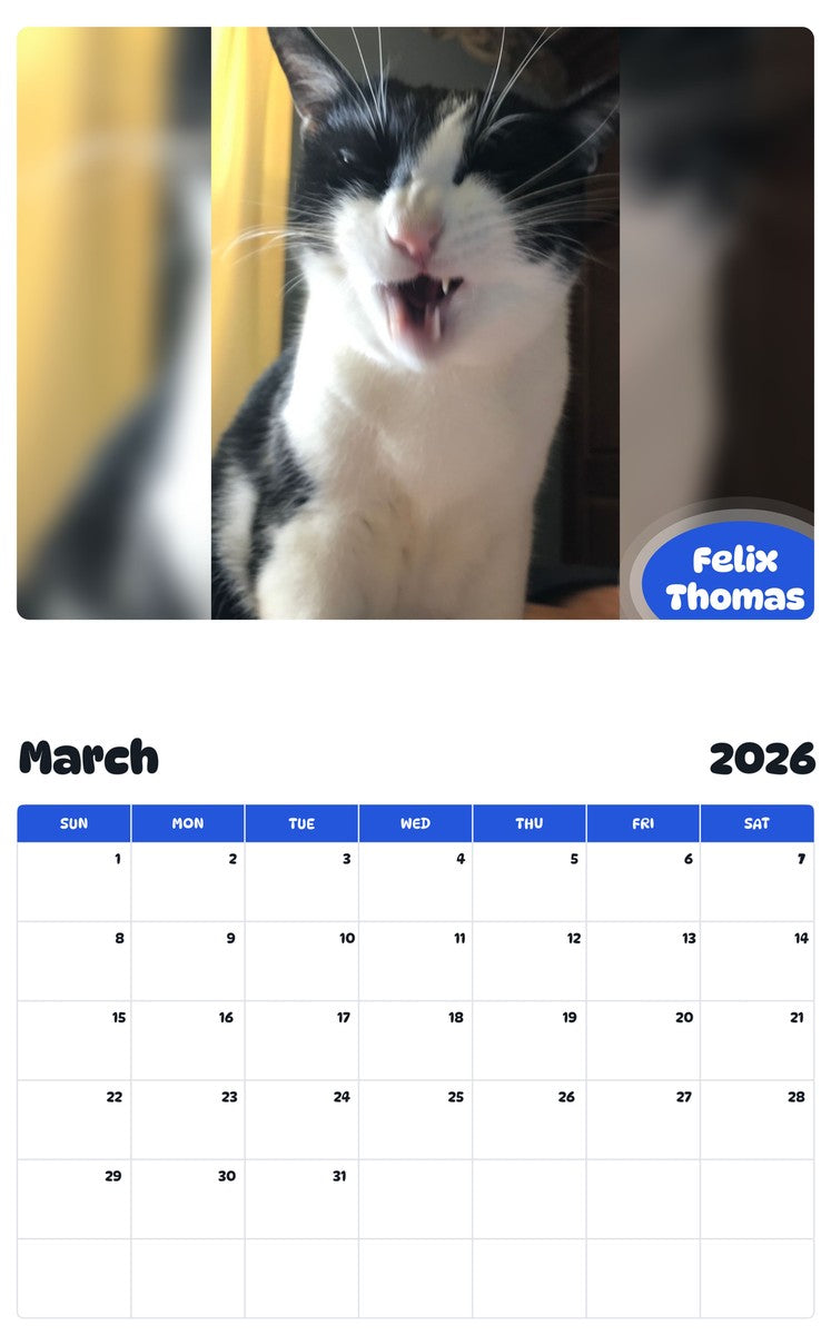 November 2025 - October 2026 Felix Thomas - Pawidols Pet Calendar