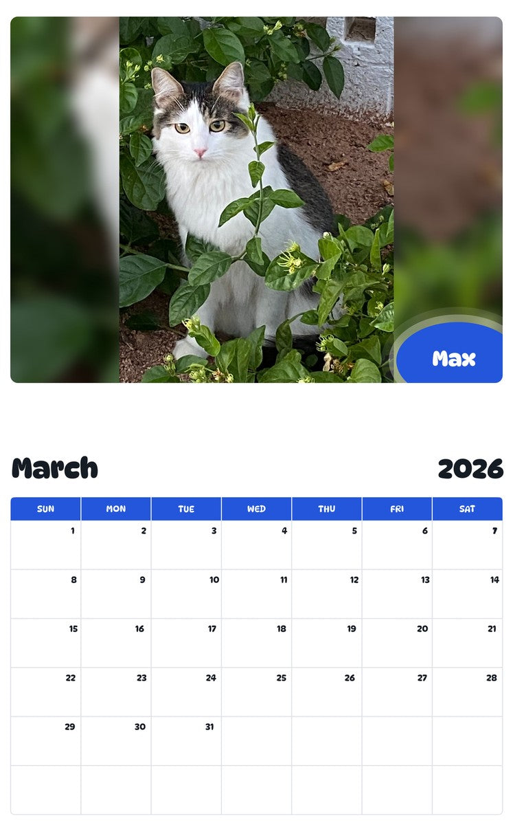 November 2025 - October 2026 Max - Pawidols Pet Calendar