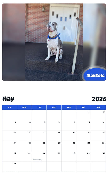 2026 - 2027 AlexCole - Pawidols Pet Calendar