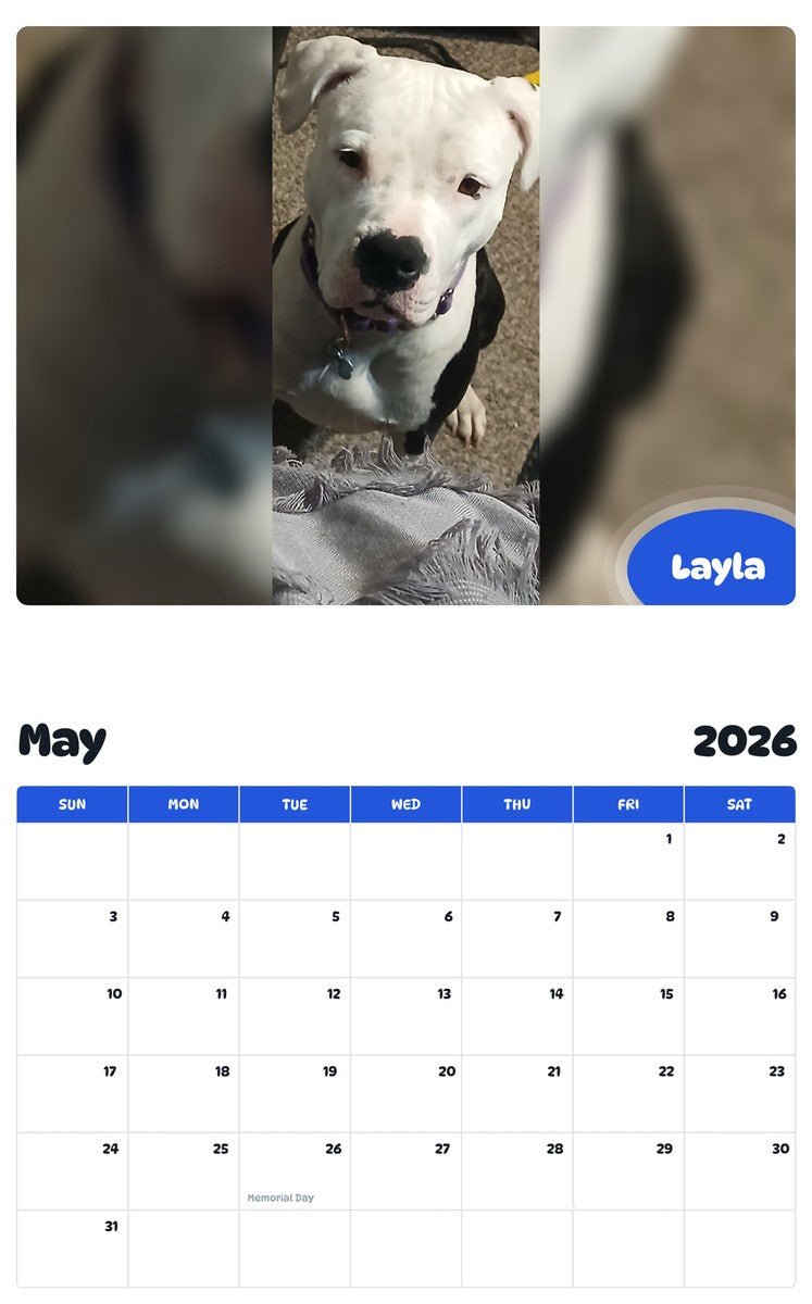 2026 - 2027 Layla - Pawidols Pet Calendar