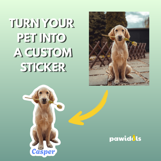 Custom Personalized Bubble-Free 4"x4" Pet Sticker